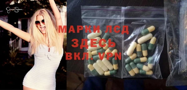 мдпв Новозыбков