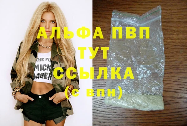 мдпв Новозыбков