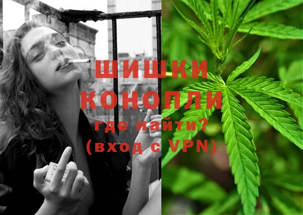 мдпв Новозыбков
