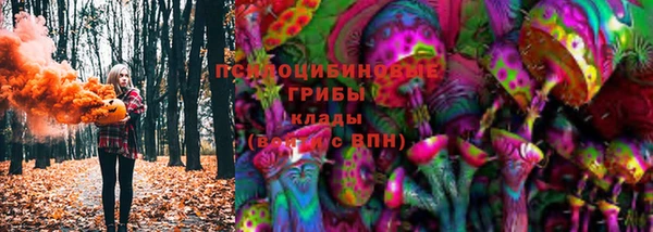 мдпв Новозыбков