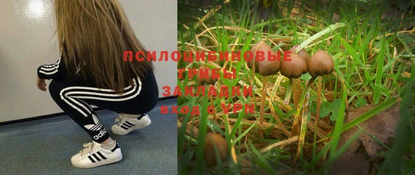 MDMA Premium VHQ Няндома
