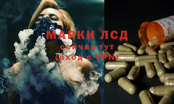 мдпв Новозыбков