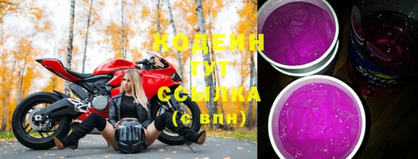 мдпв Новозыбков
