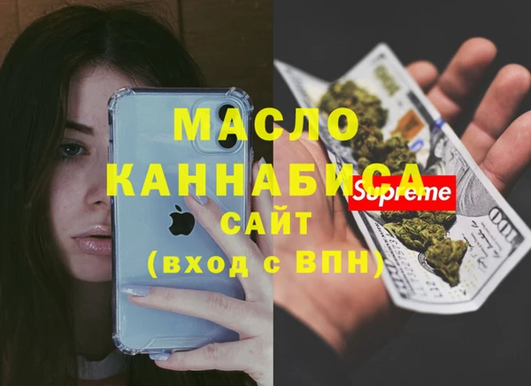 мдпв Новозыбков